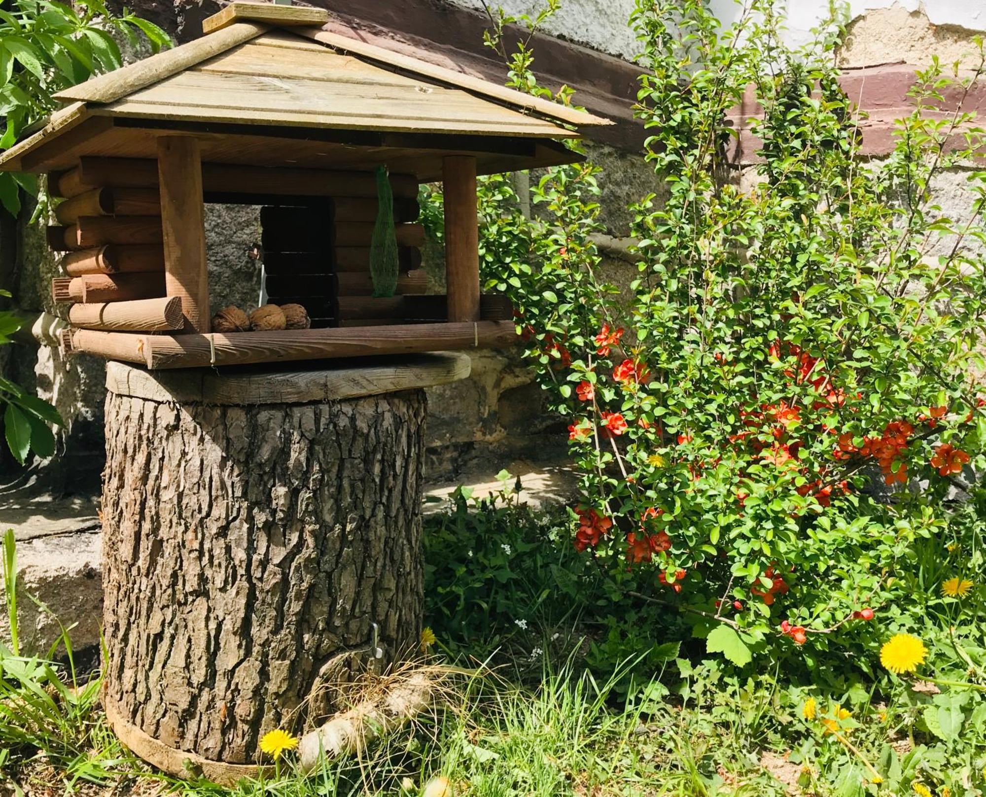 Apartamenty Pod Skocznia Karpacz Rum bild